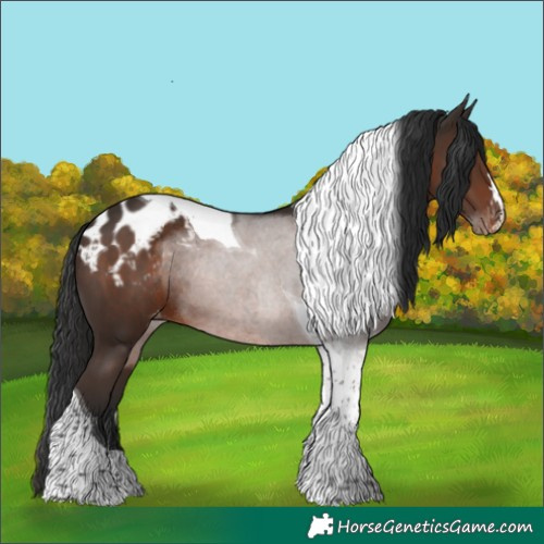 Horse Color:Liver Chestnut Tobiano Blanket Rabicano