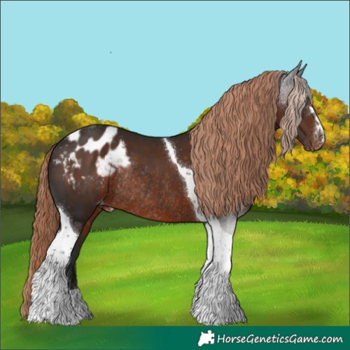 Horse Color:Liver Chestnut Tobiano Appaloosa Rabicano 