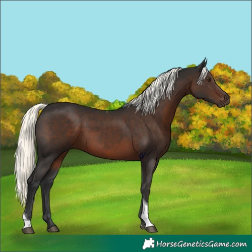 Horse Color:Liver Chestnut Mushroom Tobiano 