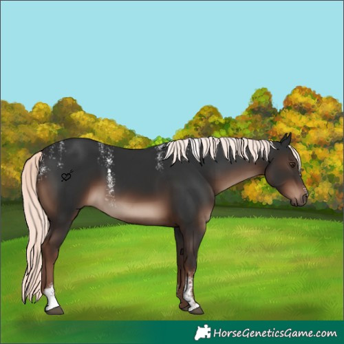 Horse Color:Powder White Liver Chestnut Mushroom 