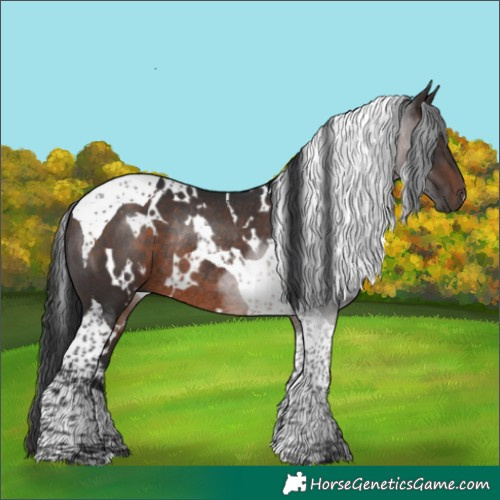 Horse Color:White Spotted Brown Tobiano Rabicano 