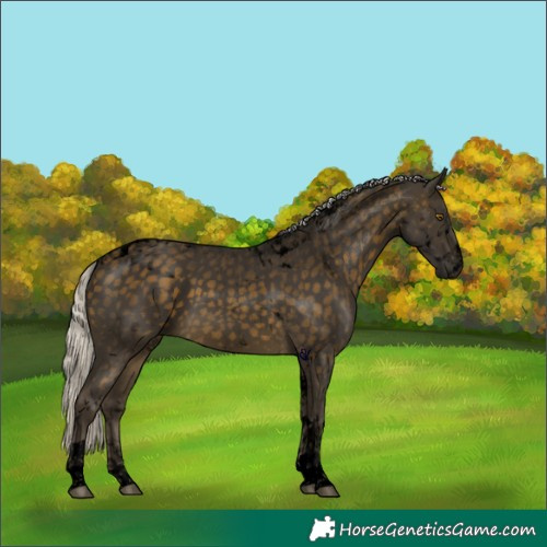 Horse Color:Void Silver Buckskin Tobiano 
