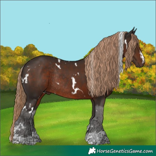 Horse Color:White Spotted Liver Chestnut Rabicano