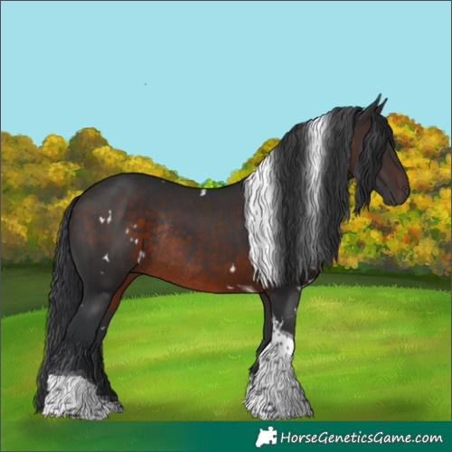 Horse Color:White Spotted Brown Tobiano Rabicano 