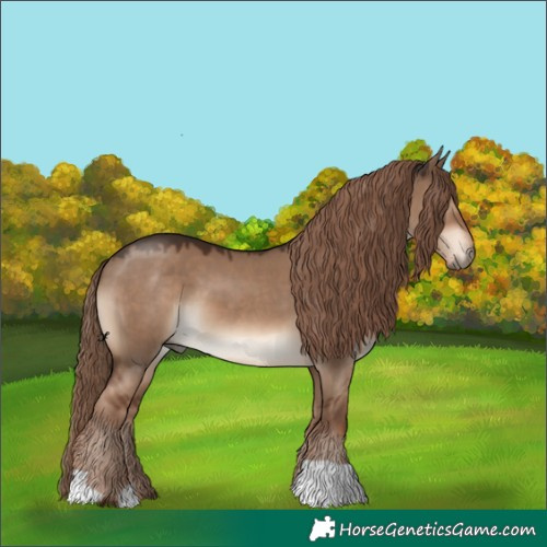Horse Color:Liver Red Dun