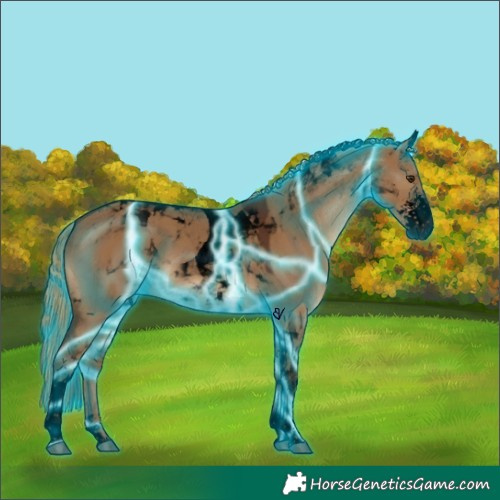 Horse Color:Gray Void Thunderstruck Red Dun Sabino Tobiano