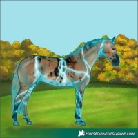 Horse Color:Gray Void Thunderstruck Red Dun Sabino Tobiano