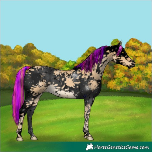 Horse Color:Void Painted White Spotted Palomino Dun Sabino