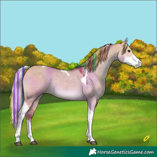 Horse Color:Painted Silver Bay Dun Sabino Tobiano 