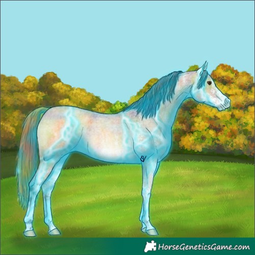 Horse Color:Nacre Thunderstruck White Spotted Buckskin Roan Dun