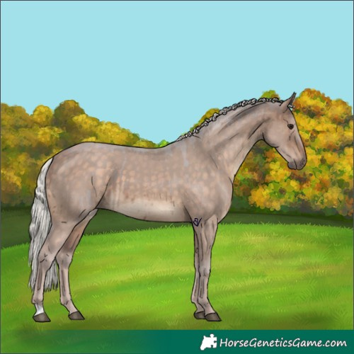 Horse Color:Silver Brown Dun Brindle 