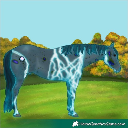 Horse Color:ERROR: UNKNOWN ANOMALY