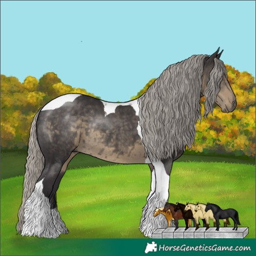 Horse Color:Silver Smoky Black Tobiano Rabicano 