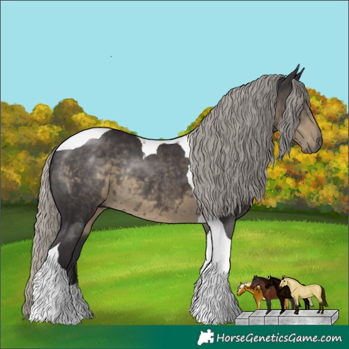 Horse Color:Silver Smoky Black Tobiano Rabicano 