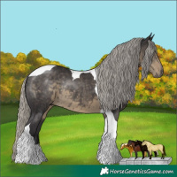 Horse Color:Silver Smoky Black Tobiano Rabicano 