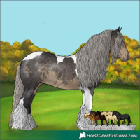 Horse Color:Silver Smoky Black Tobiano Rabicano