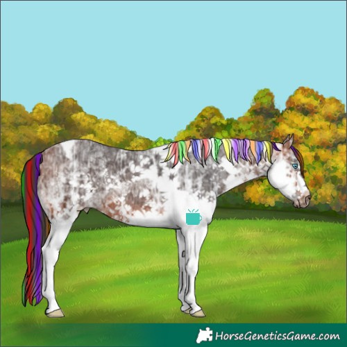 Horse Color:Painted Bay Ice Sabino Splash Tobiano Frame Rabicano 
