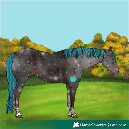 Horse Color:Painted Liver Chestnut Ice Tobiano