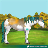Horse Color:Painted Blue Onyx Splash Tobiano Appaloosa