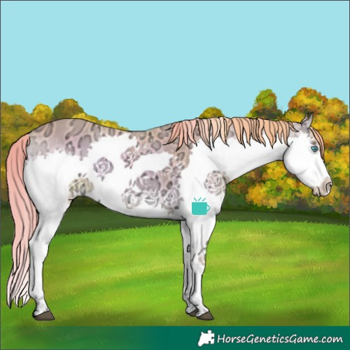 Horse Color:Watercolor Red Onyx Ice Splash 