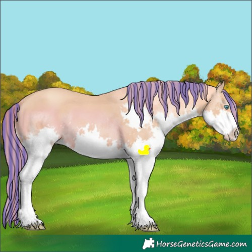 Horse Color:Painted Gold Champagne Splash 