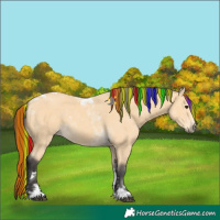 Horse Color:Painted Buckskin Tobiano 