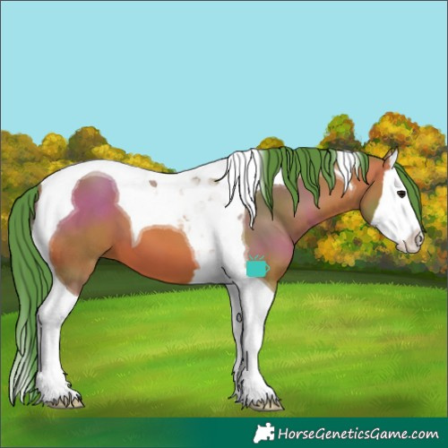 Horse Color:Watercolor Bay Splash Tobiano 