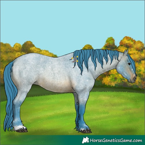 Horse Color:Watercolor Brown Roan