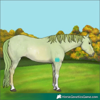 Horse Color:Watercolor Red Dun Tobiano 