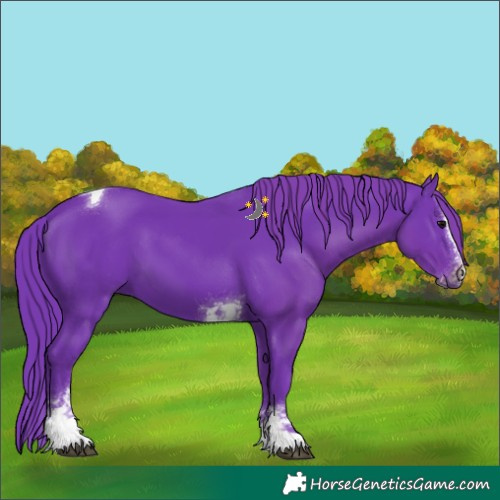 Horse Color:Watercolor Black Splash Tobiano 