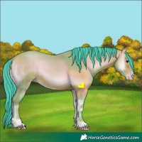 Horse Color:Watercolor Amber Champagne Onyx