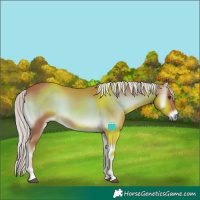 Horse Color:Watercolor Chocolate Palomino Onyx