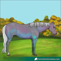 Horse Color:Watercolor Silver Bay 