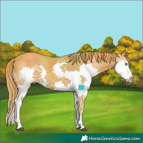 Horse Color:Watercolor Chestnut Splash