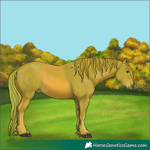 Horse Color:Watercolor Chestnut 