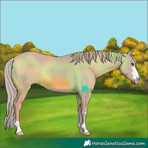Horse Color:Watercolor Chestnut 