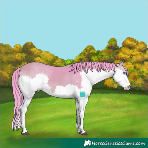 Horse Color:Watercolor Buckskin Splash Tobiano