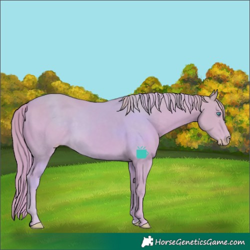 Horse Color:Watercolor Smoky Creme 