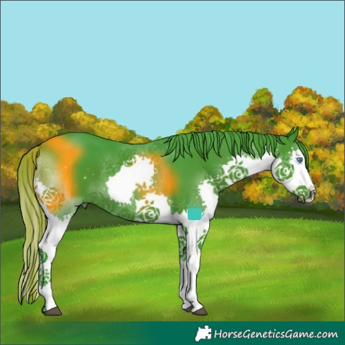 Horse Color:Watercolor Smoky Black Splash