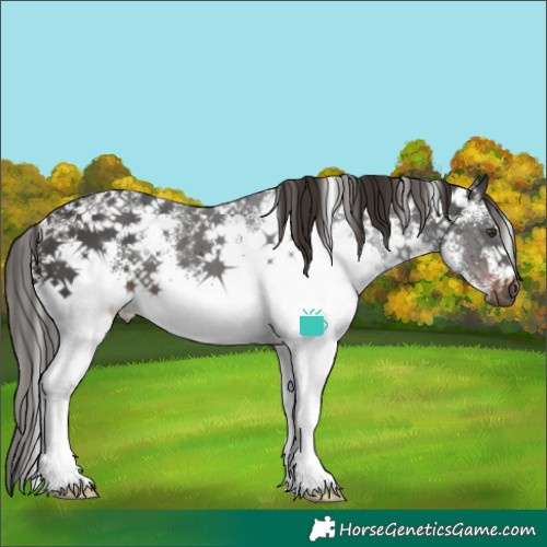 Horse Color:White Spotted Liver Chestnut 