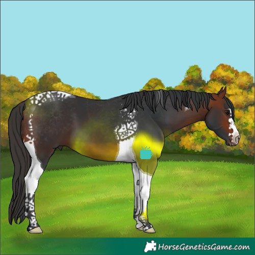 Horse Color:Bay Tobiano