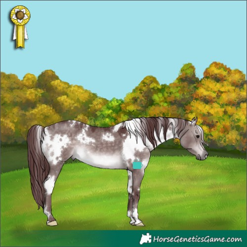 Horse Color:Platinum White Spotted Chocolate Brown Dun 