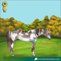 Horse Color:Platinum White Spotted Chocolate Brown Dun