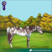 Horse Color:Platinum White Spotted Chocolate Brown Dun 