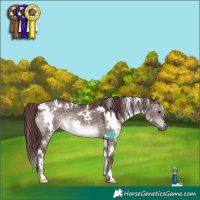 Horse Color:Platinum White Spotted Chocolate Brown Dun 