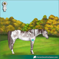 Horse Color:Platinum White Spotted Chocolate Brown Dun