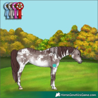 Horse Color:Platinum White Spotted Chocolate Brown Dun