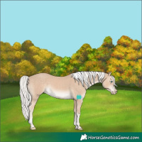 Horse Color:Silver Smoky Creme Tobiano