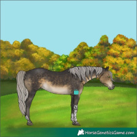 Horse Color:Silver Smoky Black Tobiano 