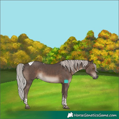 Horse Color:Silver Black Tobiano